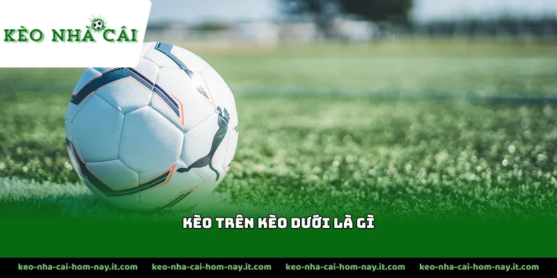 Người chơi cần nắm rõ quy định đội bóng nằm cửa trên