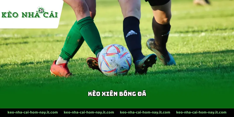 Bạn cần nắm chuẩn cách tính toán tỷ lệ thắng trong kèo xiên bóng đá