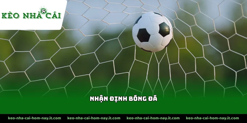 Người chơi nhận định bóng đá hôm nay dựa trên phong độ thi đấu