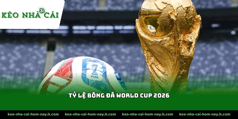 Tìm hiểu về sự biến động tỷ lệ bóng đá World Cup 2026
